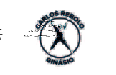 Carlos Rebolo Ginásio Parceiro CEFAD-01